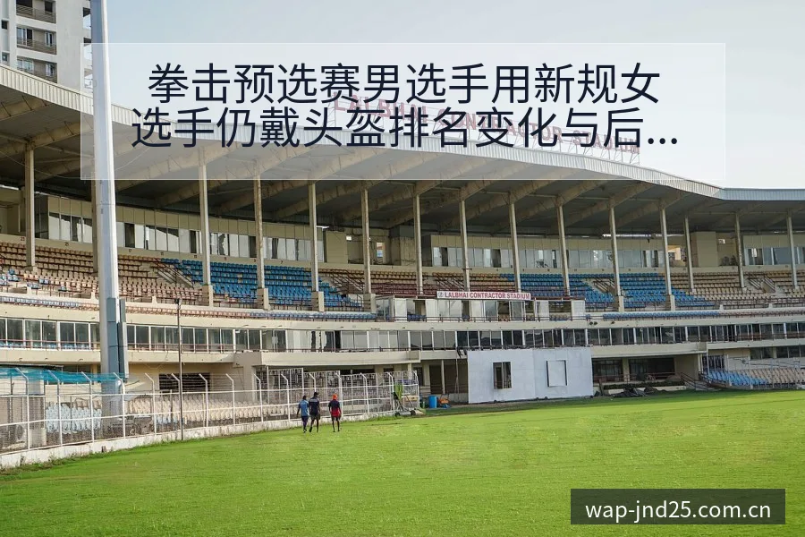 拳击预选赛男选手用新规女选手仍戴头盔排名变化与后续走势签 - 加拿大28玩法